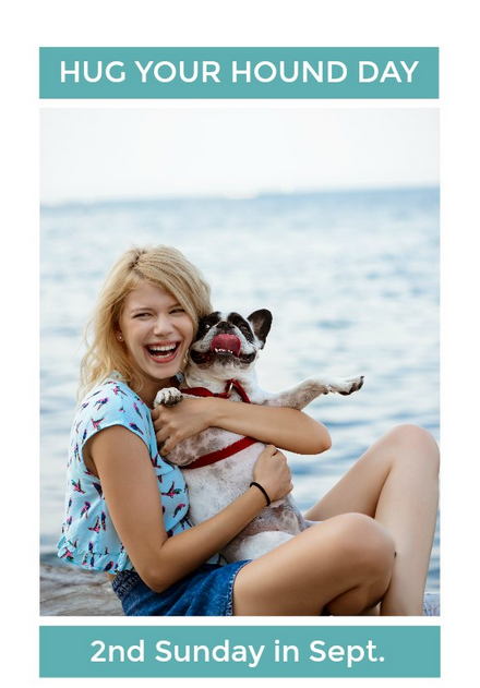 BestTXGetaways's tweet photo. Today is National Hug Your Hound Day! https://t.co/GSCfgIRGnm https://t.co/kdDHNHGyZ2