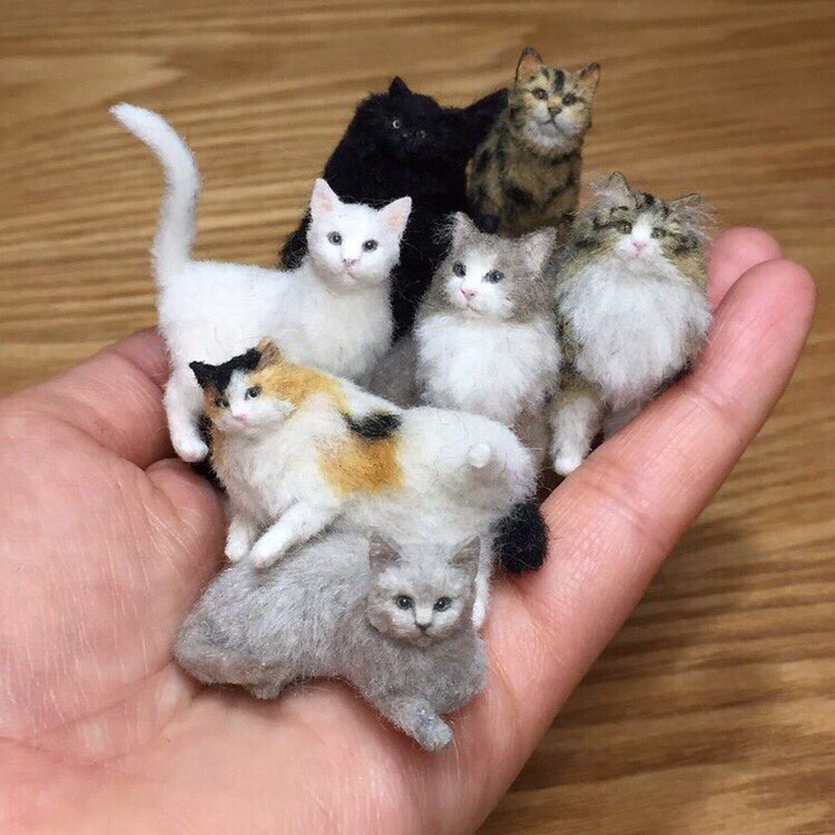 risprokis's tweet photo. сладких снов плюшки💞

хорошо выспитесь 

удачи завтра всем и не забывайте отдыхать 💅🏼🍂 https://t.co/fjA4ughibN