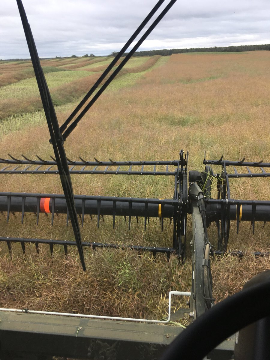 oliviersalan1's tweet photo. #swathing19 has started finally #invigor #l234pc https://t.co/qwrVpVwTrm