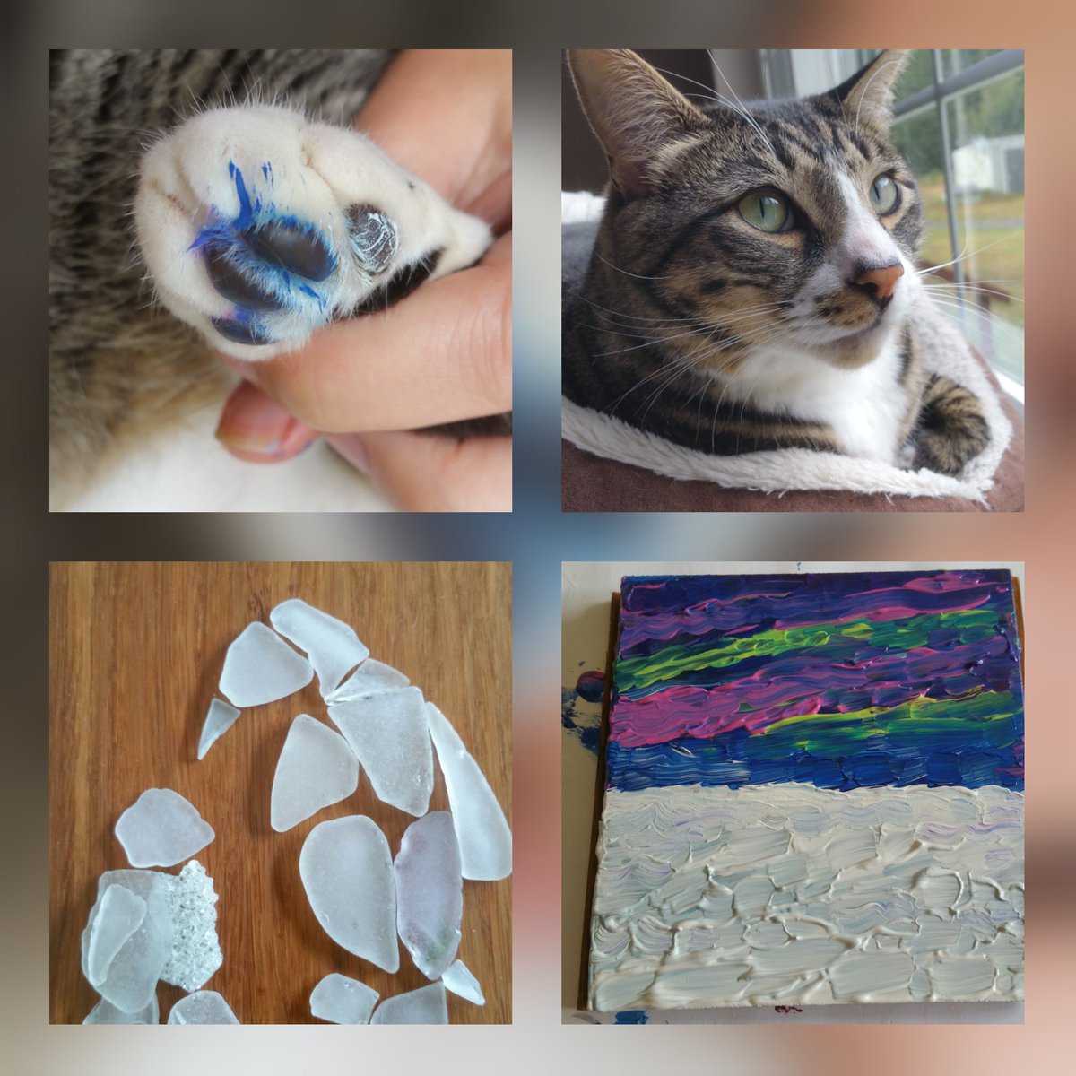 ksneathart's tweet photo. Started another sea glass & wood creation. ....Purrcy thought he'd help ๐
#daftcat #paintingbuddy #paintedpaws #penguinart #seaglass #oojamaflip https://t.co/JfDj3rMGAp