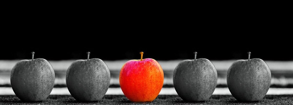 HarmonyJenny's tweet photo. Why does "Branding Your Business for Growth" – my new highly related course - stand apart from others? 

Reason #2: It brings focus, richness and depth to your brand identity

Get it today before the early-bird discount ends!
#authenticbrand #howto

 https://t.co/mmA75x9m5B https://t.co/aHrzoEpfaC