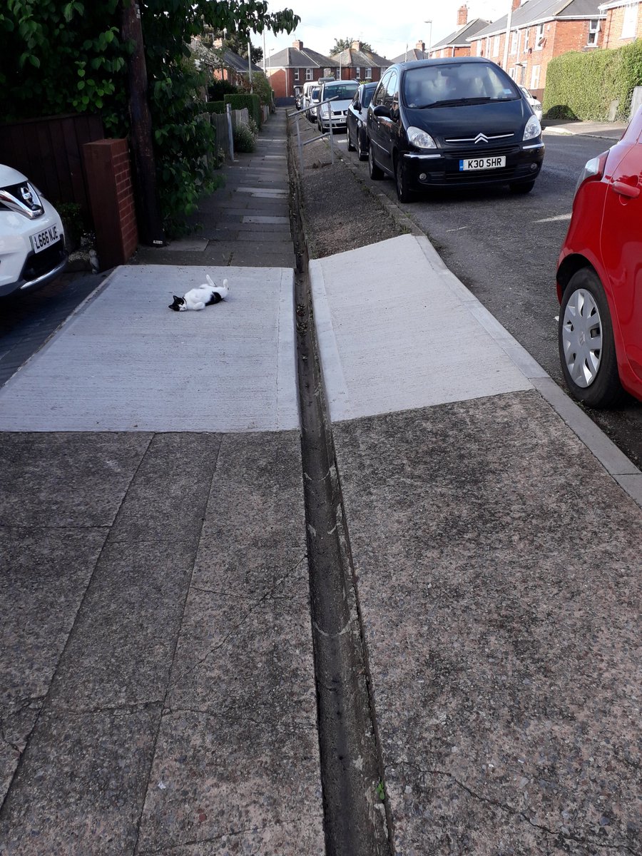 With thanks to the Community Payback teams <a href="/DDCCRC/">DDC CRC</a> for clearing the weeds in Briar Crescent