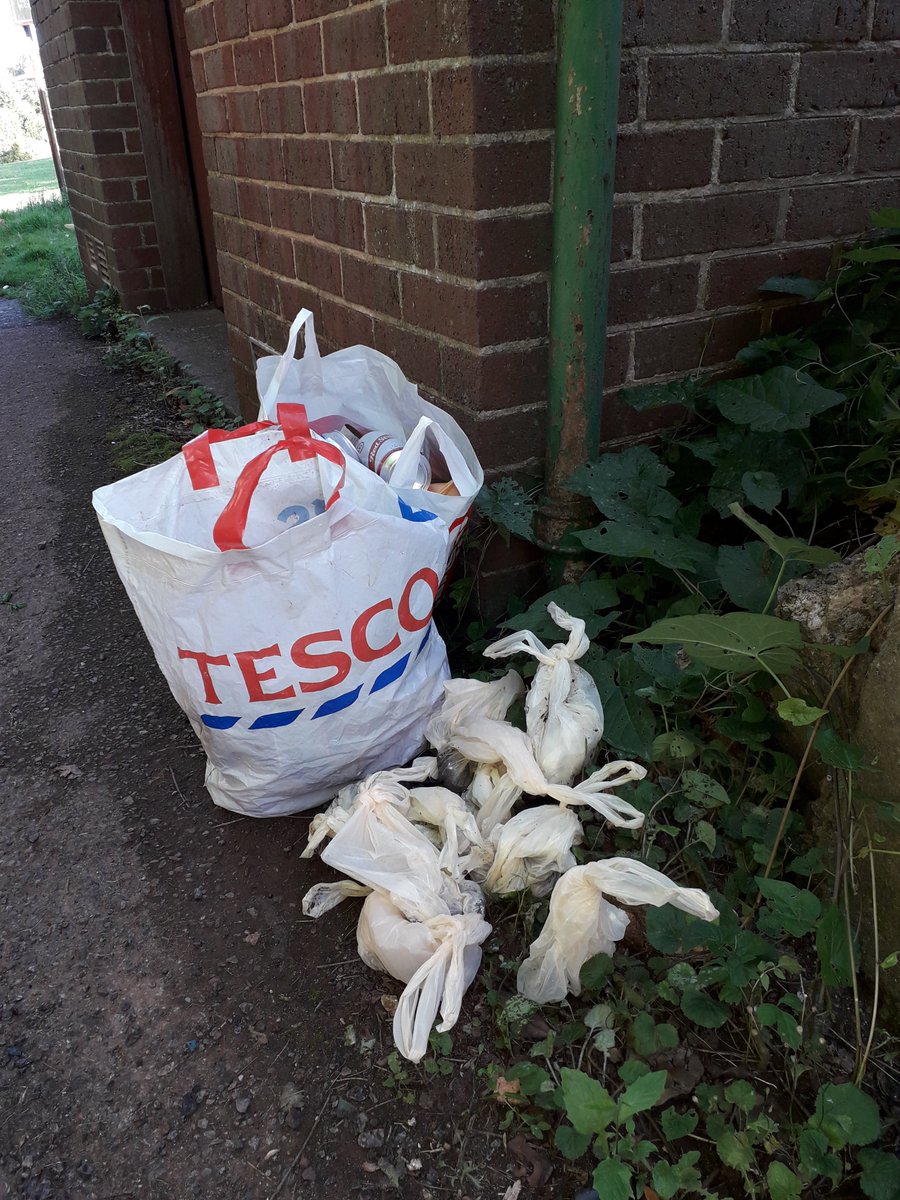 Another disgusting example of this dog owner's lack of responsibility and environmental awareness. I collected not less than 12 bags of dog poo from the path at the top of Northbrook golf course, where it goes through to the Tally Ho pub #uncaring #environmental