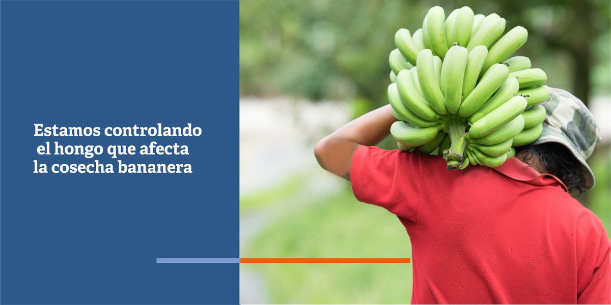 Iván Duque 🇨🇴 tweet media