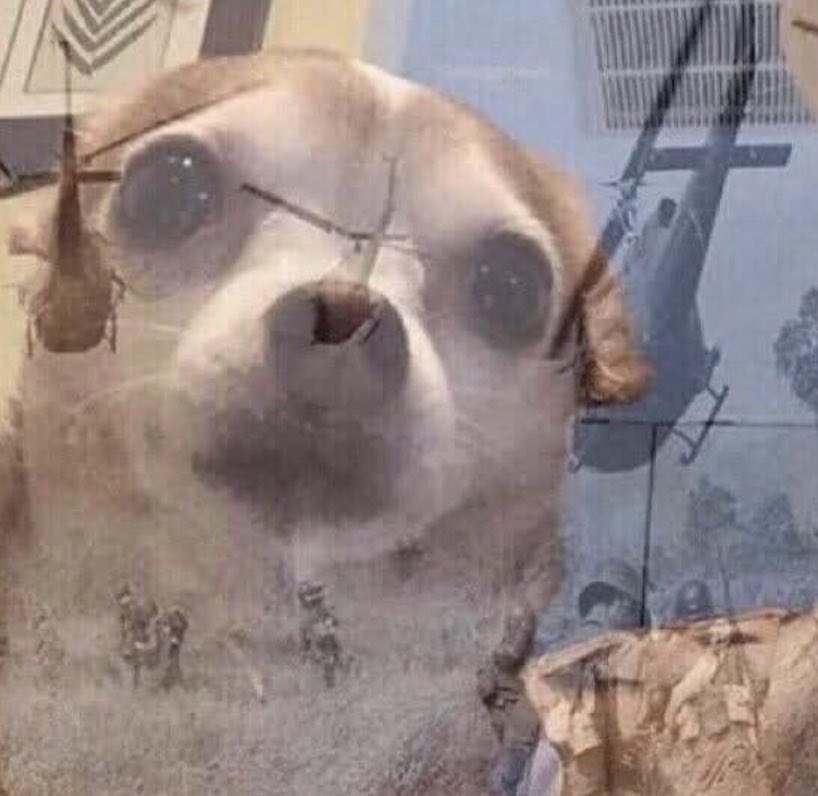 Sees a table set up in the stands. 

Remembers Freshman year hazing