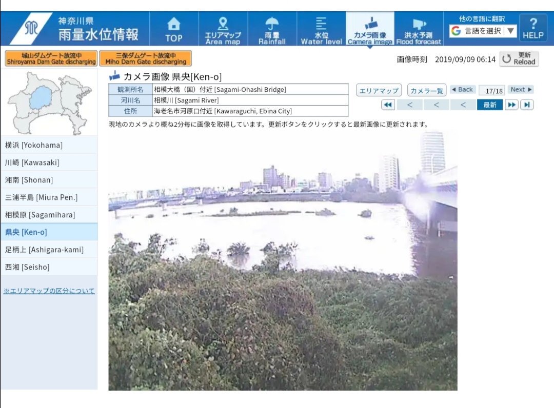 ぐうぐうがんも やっぱり相模川水かさがすごいね 心配