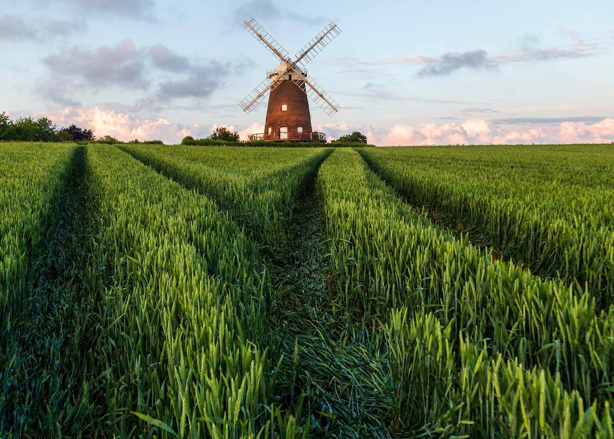 We have a Photo of the Month each month &amp; a print of the image will be displayed in our sponsors 
<a href="/Photosound_/">Photosound</a> shop window in Bishop's Stortford (20 Bridge Street, Bishops Stortford CM23 2JY) - this is September's winner by brand new member Alan Godfrey