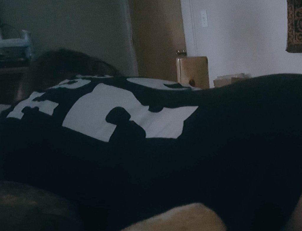 Bethi03713210's tweet photo. #olwaylon #79 #nevergettingup https://t.co/se6cRMTyfK