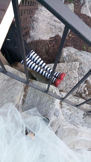 #landofoz https://t.co/zUOm8SUJdt<a href="/tag/landofoz"class="tags">#landofoz</a>