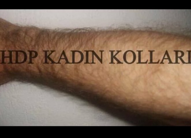 intikam kutu mizac akp chp mhp hdp kadin kollari caps digirolamoantonina com