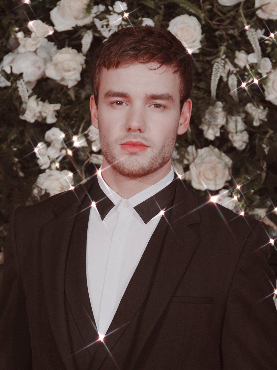 1234555i's tweet photo. Liam payne un ejemplo a seguir, eres una persona hermosa y demasiado apasionado por lo que haces, el amor que das a los fans y el respeto que nos enseñas es lo que más vale, te amo y jamas dejaré de apoyarte @LiamPayne y danos pistas de nueva música porfavor 🙏🏼💕 #ArrowsForLiam https://t.co/n8vHx1hR7k