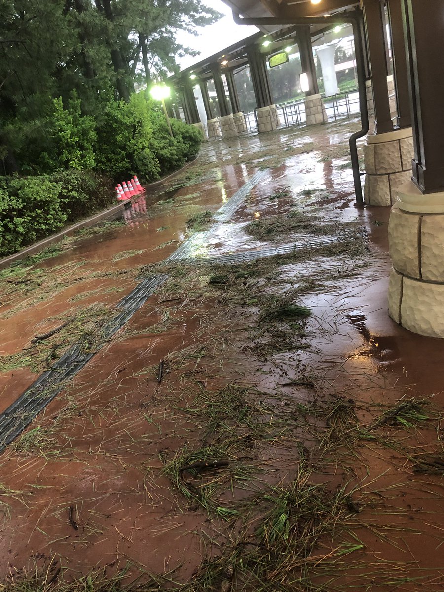台風15号 東京ディズニーランド台風被害まとめ「倒木被害多数」「キャストさんが掃除してる」 はちまと 台風15号 東京ディズニーランド台風被害まとめ「倒木被害多数」「キャストさんが掃除してる」 はちまと
