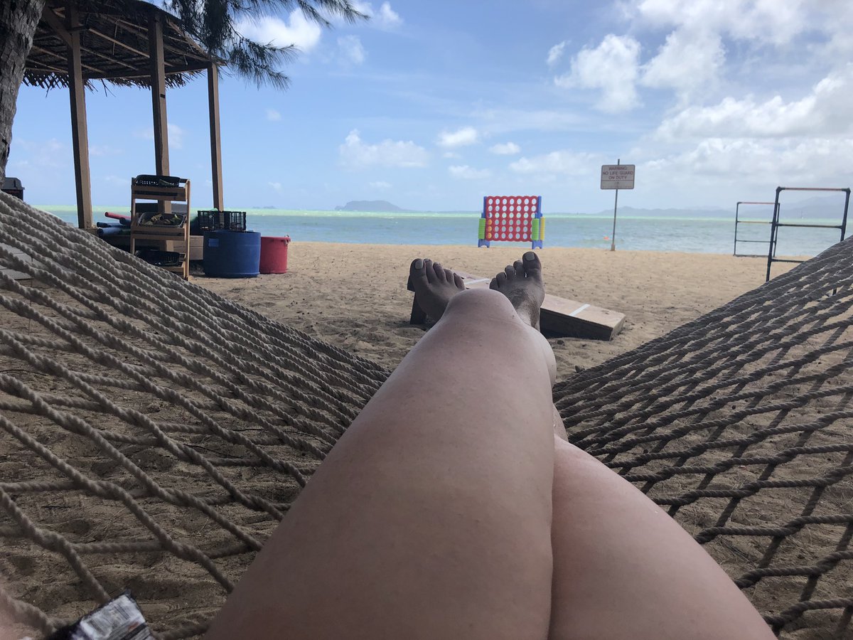 Lyndsay Stark tweet media