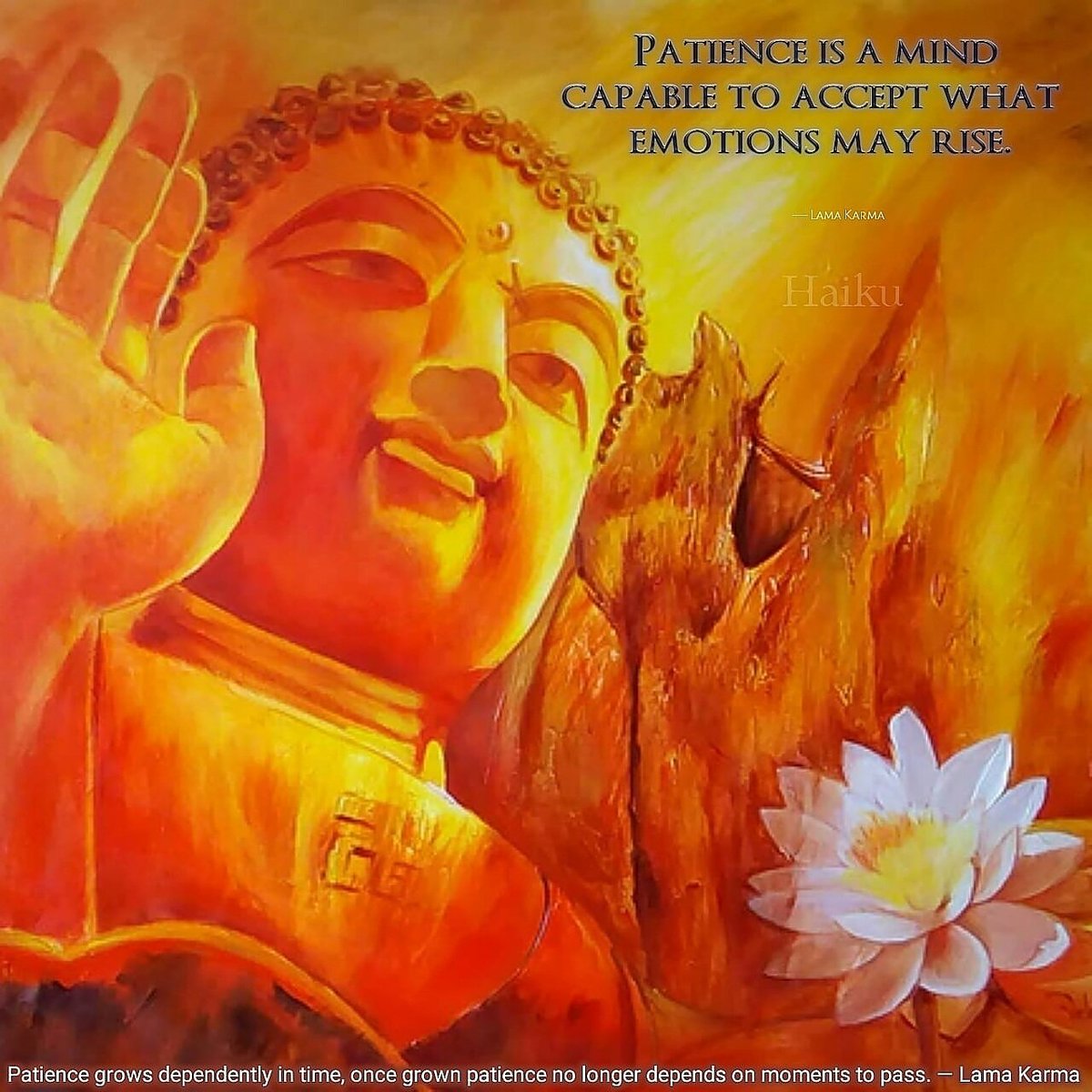 VenRahula's tweet photo. The grounds of wisdom is patience, for the path of heart is giving. — Lama Karma

#compassion #wisdom #morality #being https://t.co/zafcBdH3cq