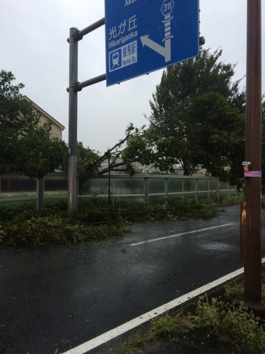 国道441号 道路状況に関するリアルタイム情報 ナウティス