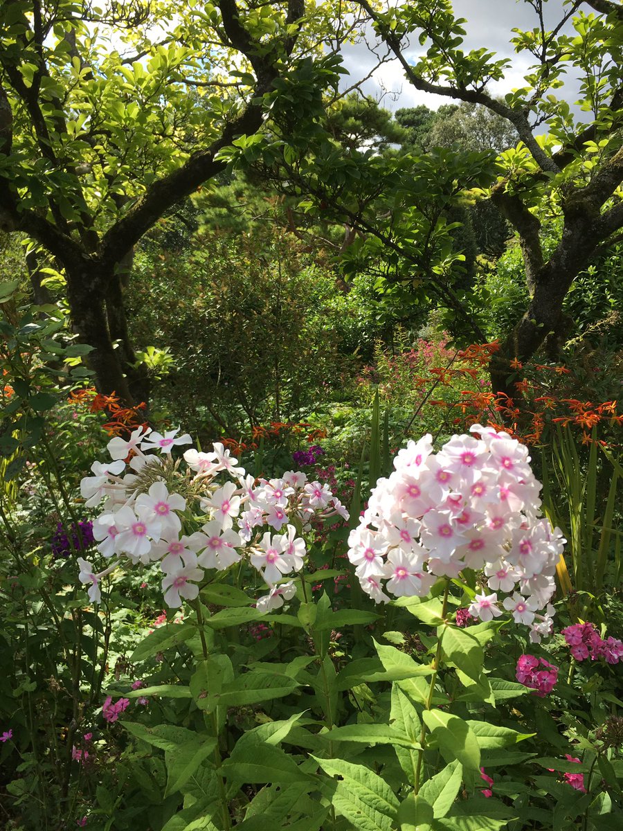 EricaWhyman's tweet photo. September. Hidcote Gardens with #littlepickle https://t.co/gsDwZ0vNlU