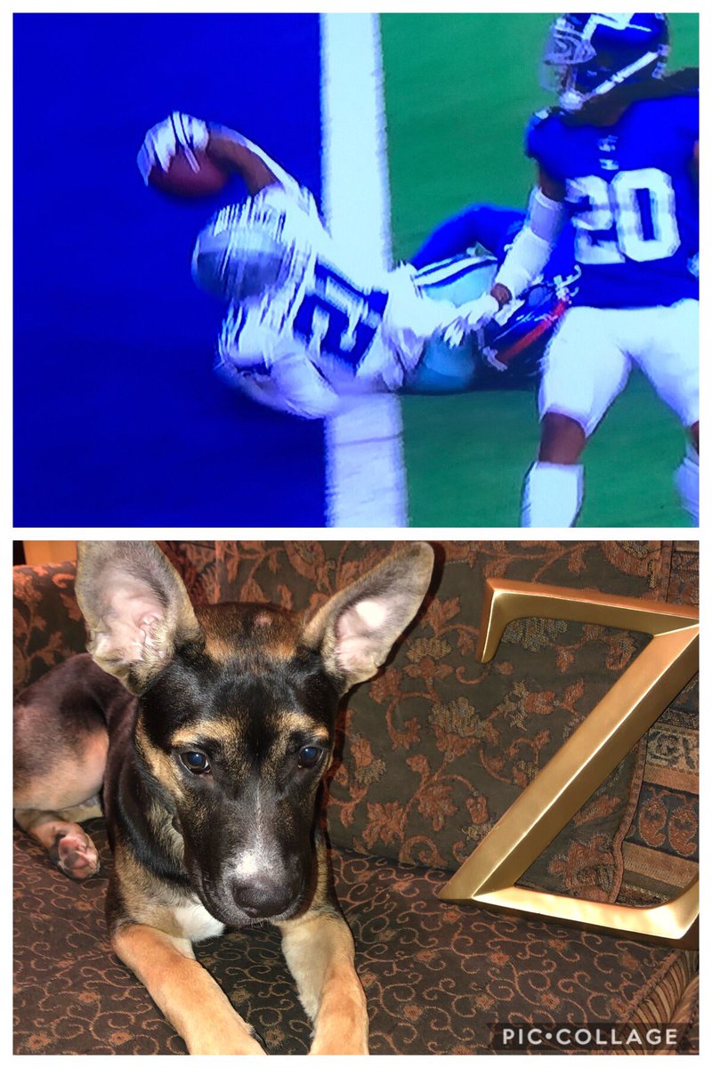 jamiemoore9's tweet photo. Feed Zeke!  💙🏈💙 https://t.co/pIigkeewwV