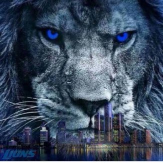 CraKkTm's tweet photo. #OnePride 
#LionOfJudah
#NewProfilePic https://t.co/1whB9cXcDa