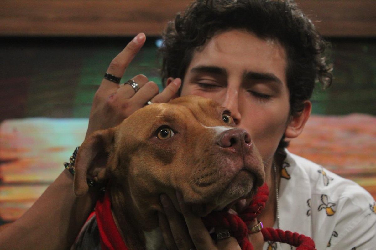 stuckwmailo's tweet photo. Emilio con Samai, de lo más tierno.
#PerfecTourEnMerida https://t.co/Bb1ATrWaMX
