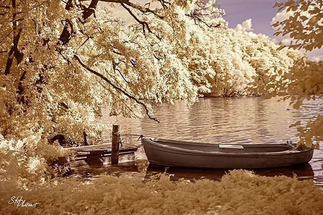 Just Posted New Infrared Art; ift.tt/2LBbFDf #CreativeIR #Infrared #Photography #InfraredPhotography