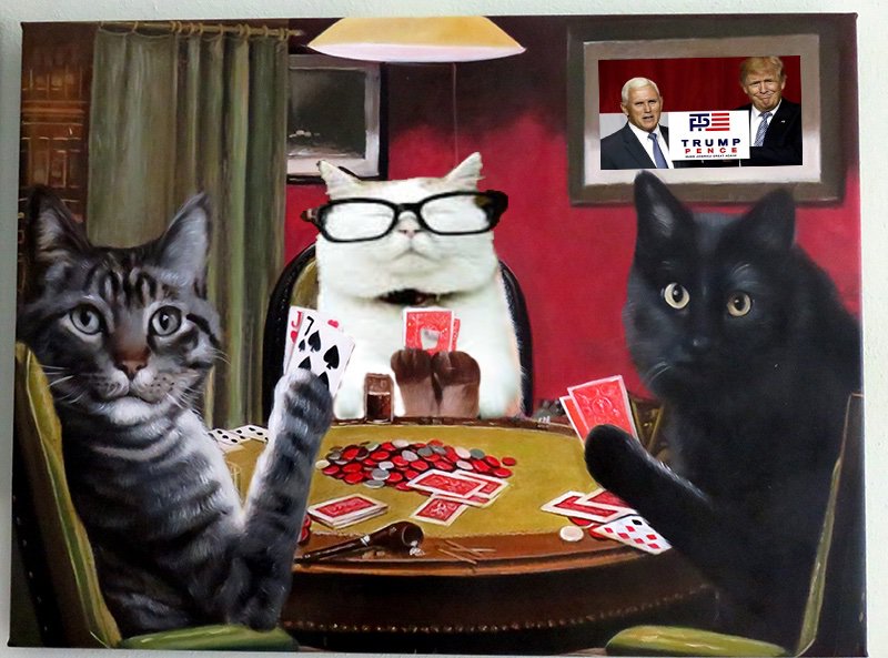 Catturd ™ on Twitter: "Catturd is so ready for the World Series of Poker,  this year.… "