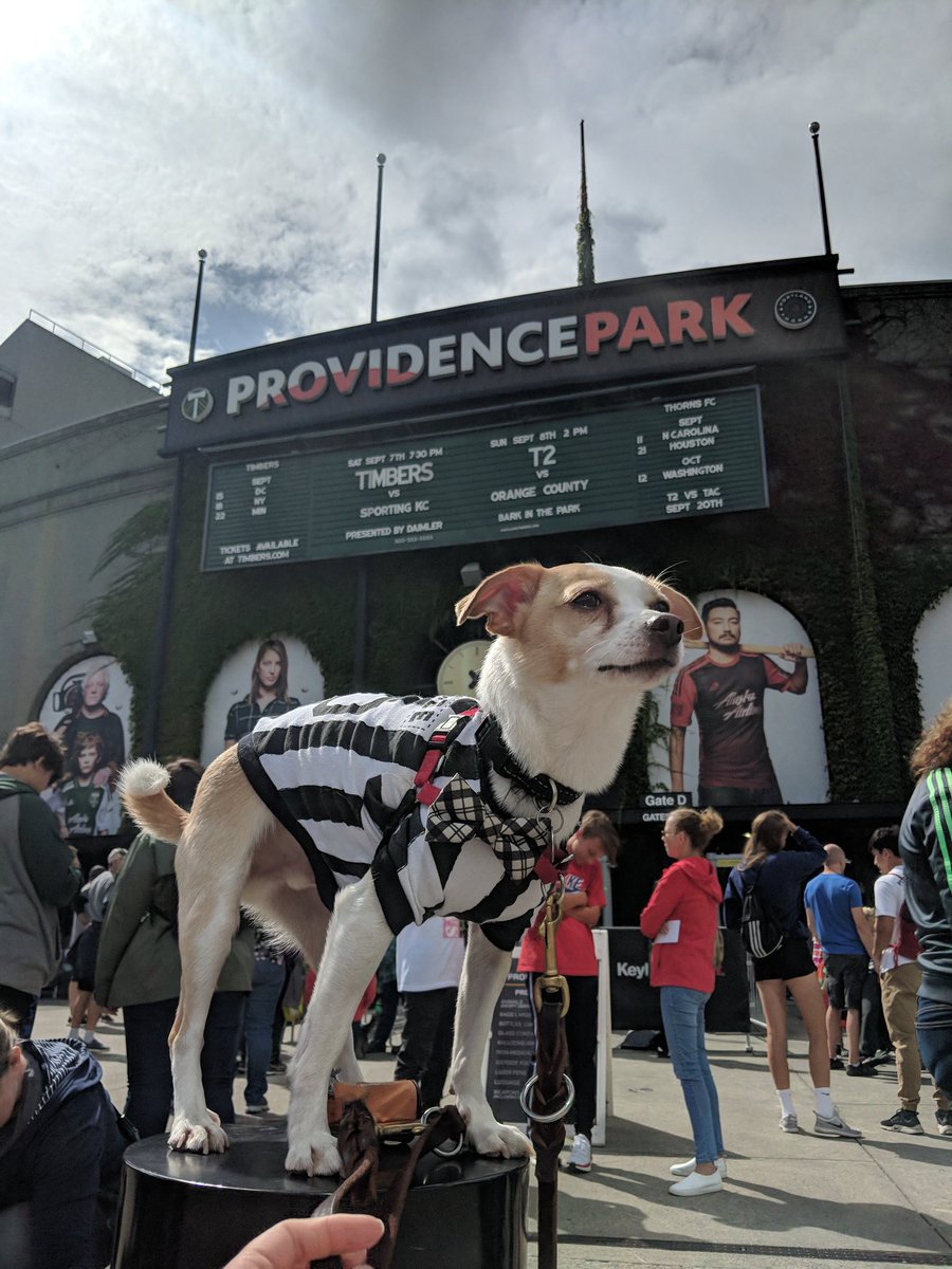 kstal21's tweet photo. @TimbersFC2 💕🐾
#t2pups #barkinthepark https://t.co/GkAtcdgMOc