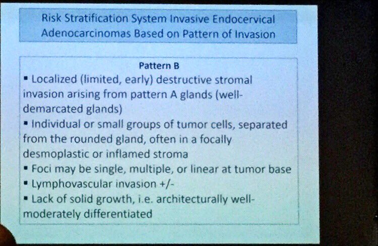 MayaNourieh's tweet photo. Endocervical adenocarcinoma: patterns of invasion. @Roma_GYNPath #ECPNice2019 #ECP2019Nice #gypath https://t.co/SnfI45lqF1