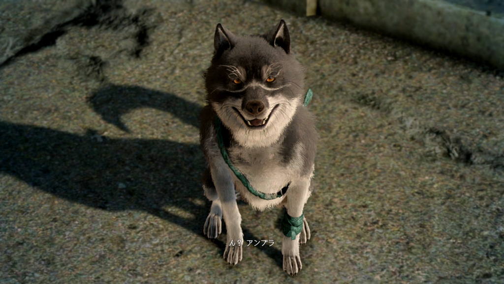 夜色 Dq10mognet 名前の元の アンブラ はff15に出てくる犬だからだよ この犬からとったの 3 ヽ T Co Y5vycca5lo Twitter