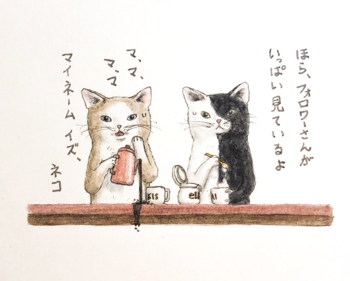 楽しげ猫ズ😽😸
#これを見た人は2人組の画像を貼れ 