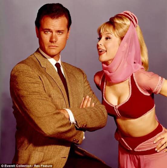 ささななお このタグを見た人は昔見ていた海外ドラマを上げよ かわいい魔女ジニー ジニーの女優さんがほんと綺麗で可愛くて好きでした