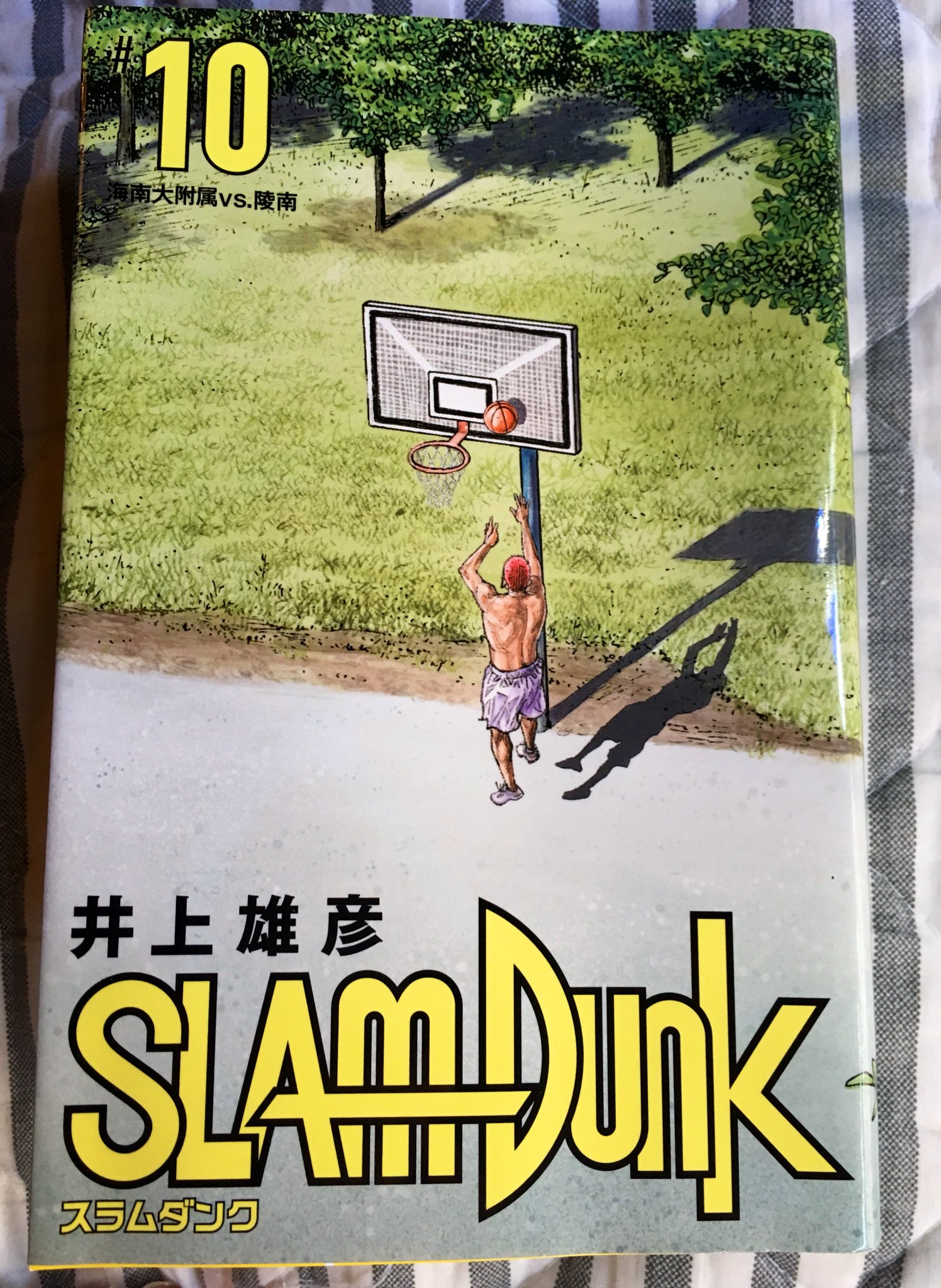 Pianonaiq スラムダンク 10巻まで 死闘 と同時に悩める主役の姿を描いた海南戦以降 作品の強度がぐっと増して丁度半分というところでがっつり掴まれたかなという印象 海南戦で他チームの凄い奴ら皆から注目される存在となった問題児 花道が坊主になり