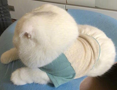 wash and go to bed, see you tomorrow.