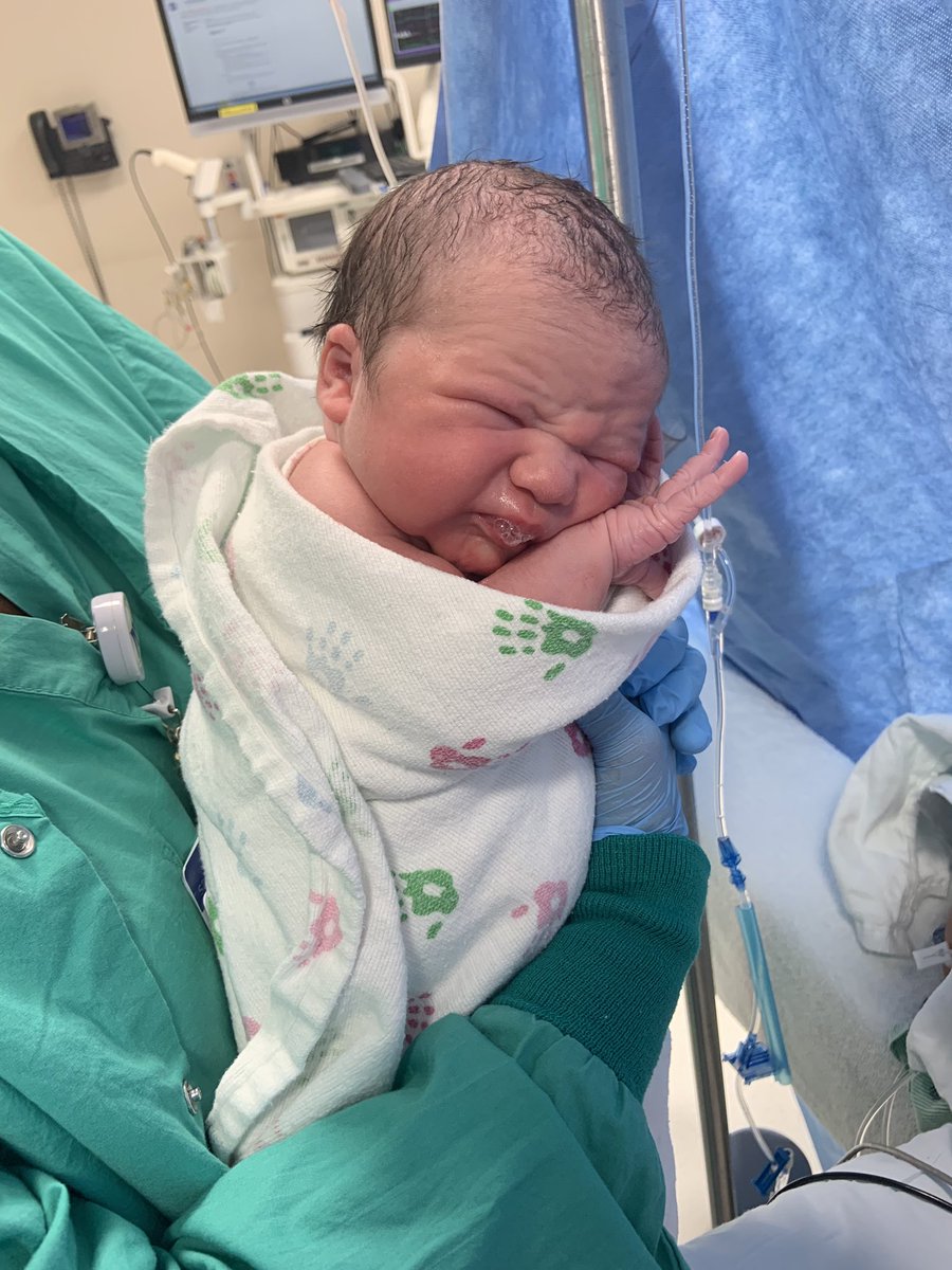 Mr_Hettel's tweet photo. Oakley Marie Hettel joined our family this morning! We are all incredibly lucky! Emmett is ready to start his duties as a big brother! https://t.co/FGEgTarCuA
