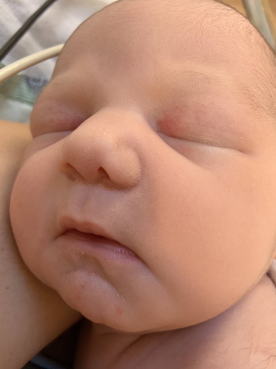 Mr_Hettel's tweet photo. Oakley Marie Hettel joined our family this morning! We are all incredibly lucky! Emmett is ready to start his duties as a big brother! https://t.co/FGEgTarCuA
