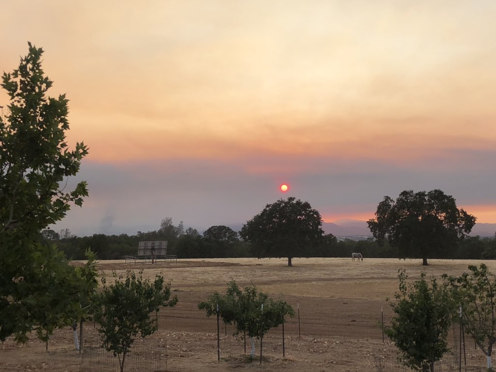DarrylHolcombe's tweet image. Sunset over the #redbankfire. Let’s pray for lower temps and no wind tomorrow