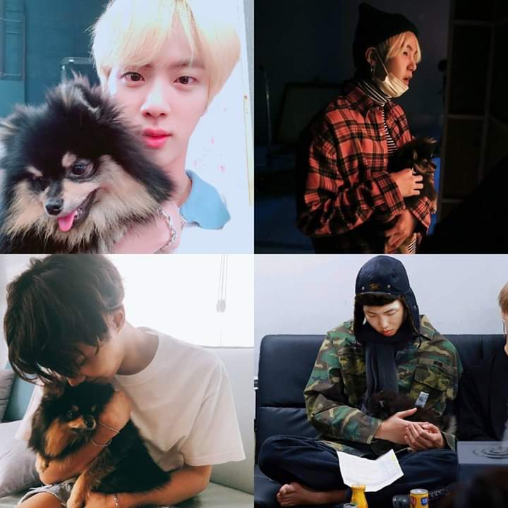Belen27426257's tweet photo. Happy birthday Kim Yeontan 💜💜💜😍😍😍
#우리탄이_우리��형_오래오래 
#KingYeontanDay 
#HappyBirthdayTannie https://t.co/WSYnBbaPYy