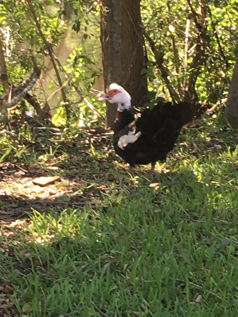 QueenTess808 tweet media