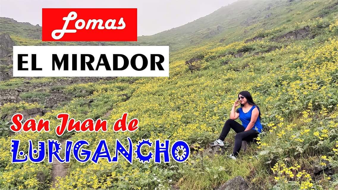 Infiltra2JL's tweet photo. Hola amigos, tenemos nuevo video, es sobre las #lomaselmirador en #sanjuandelurigancho , vean el video haciendo click en este enlace ⤵️
https://t.co/PCqCdeewSe
#lomas 
#trekking 
#Lima 
#Peru 
#follobackinstantly https://t.co/J7jolWbTVC