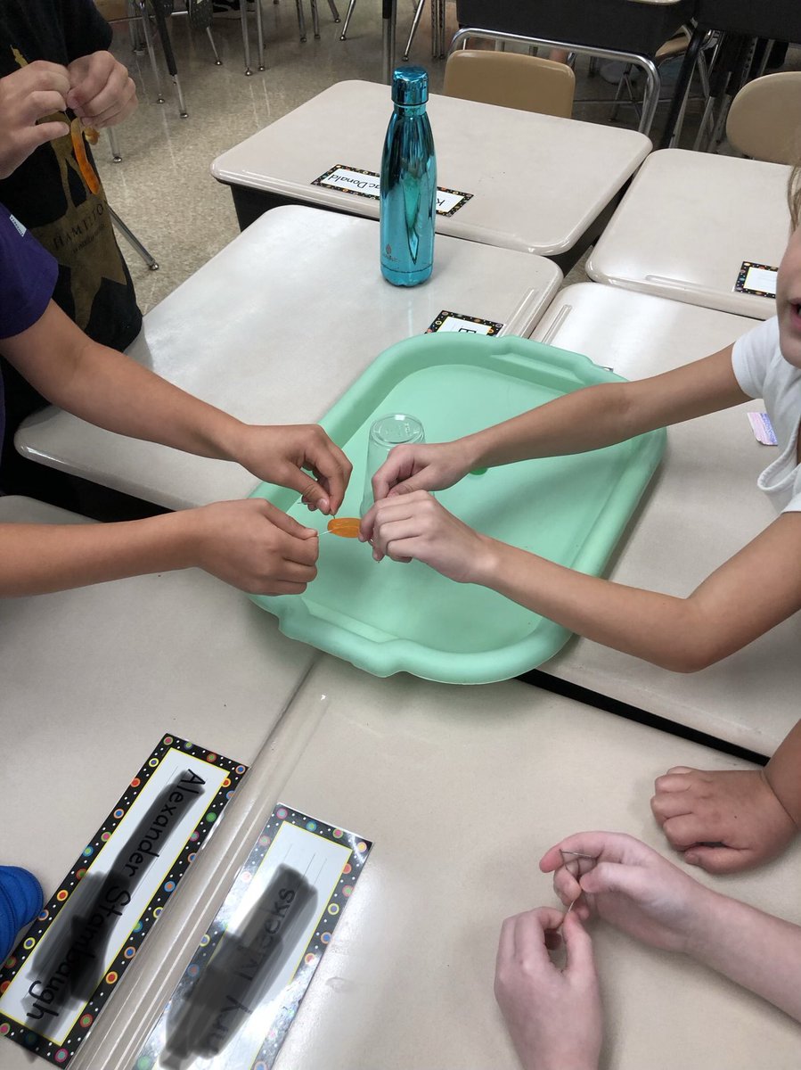 LKnudsen_BCPS's tweet photo. Friday STEM teamwork challenges are the best way to end our first week!  #classroomfamily #everystudenteveryday #thirdgradefun https://t.co/uPgVRSNZGh