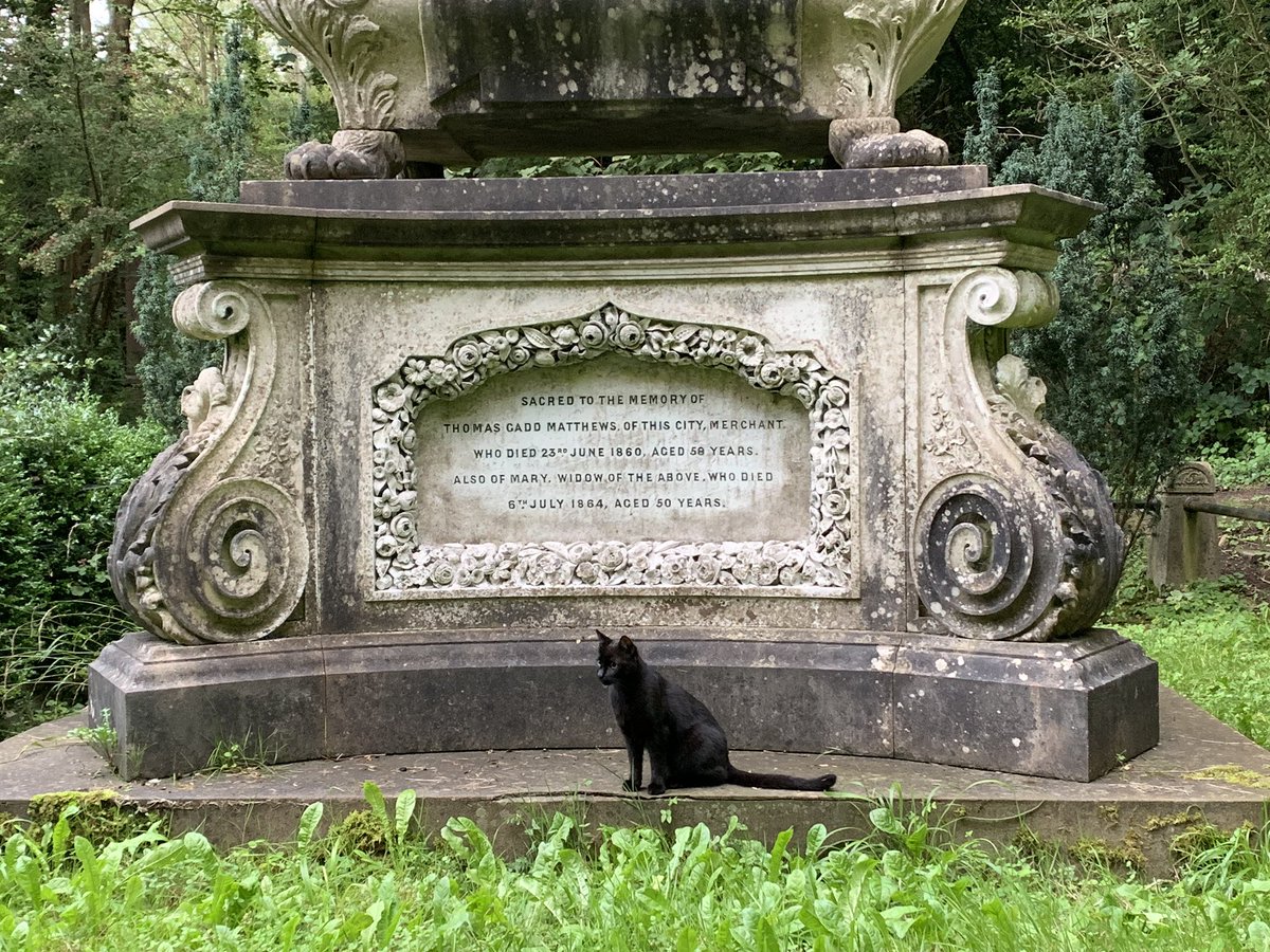 Tammy Kohn tweet media