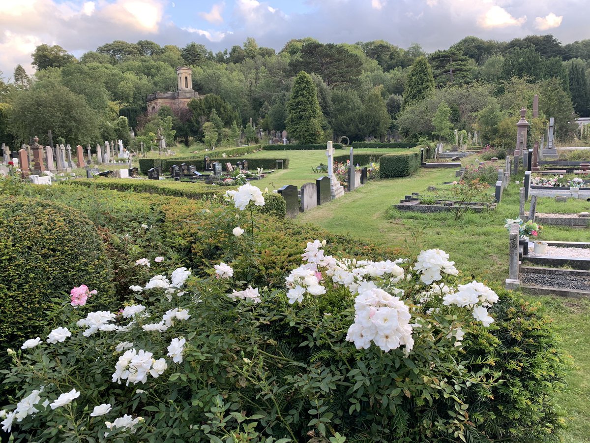 Before the graveyard disco #DDD14