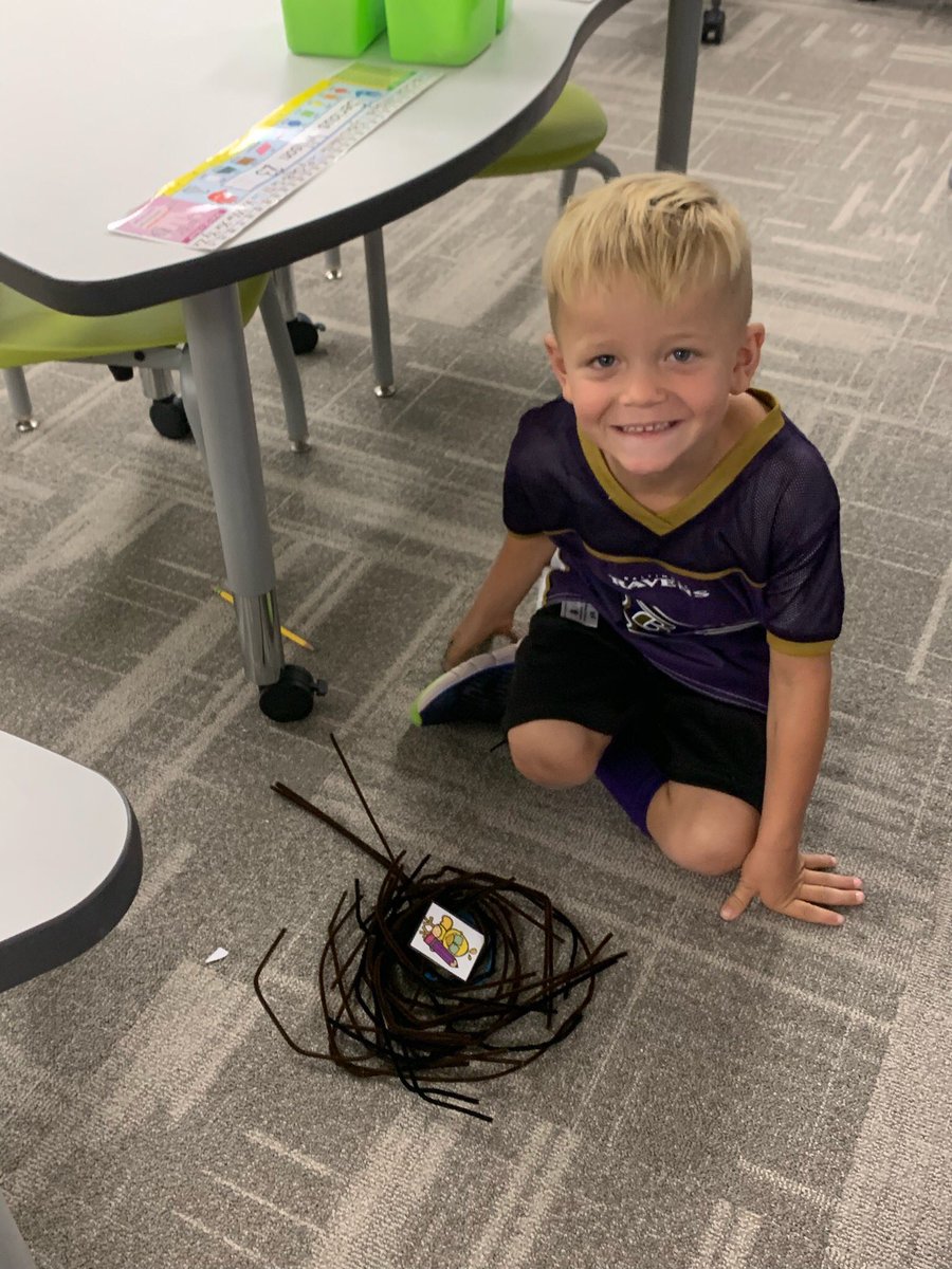 First graders did a stem challenge: making a new setting for nerdy birds! #tozercubs