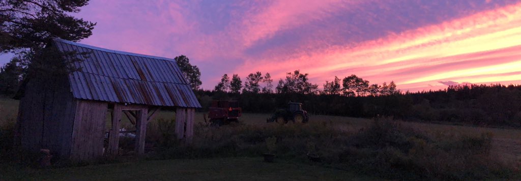 CanadianMom79's tweet photo. The calm before the storm β€οΈ #HurricaneDorain is coming π Beautiful #sunset in my backyard. #countryllife #newbrunswick #canada #nbstorm @weathernetwork https://t.co/XR8FJQuzH6