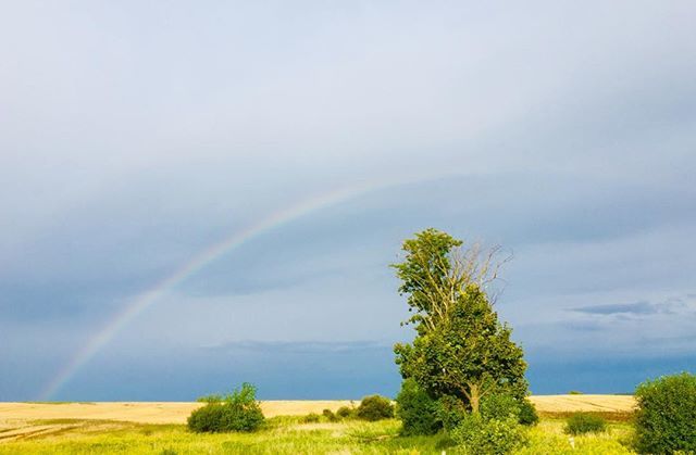 ronkorb's tweet photo. On the way to #sharontemple for tonightโs #illumination performance. The rain suddenly stopped and the rainbow appeared briefly before it started raining again. https://t.co/kxJBfqnHVi https://t.co/gJ0sHFRfdd