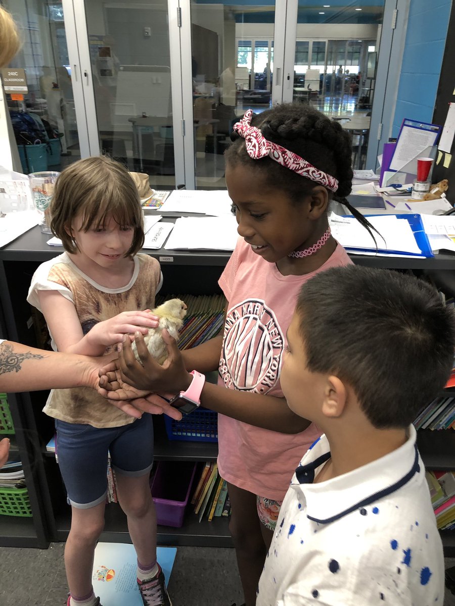 BattleCreekElem's tweet photo. Friday fun (Pt. 3)- Mr. Holeman’s class wrapped up their projects with some special classroom visitors. #liveactionlearning https://t.co/11ZgqsIaA2