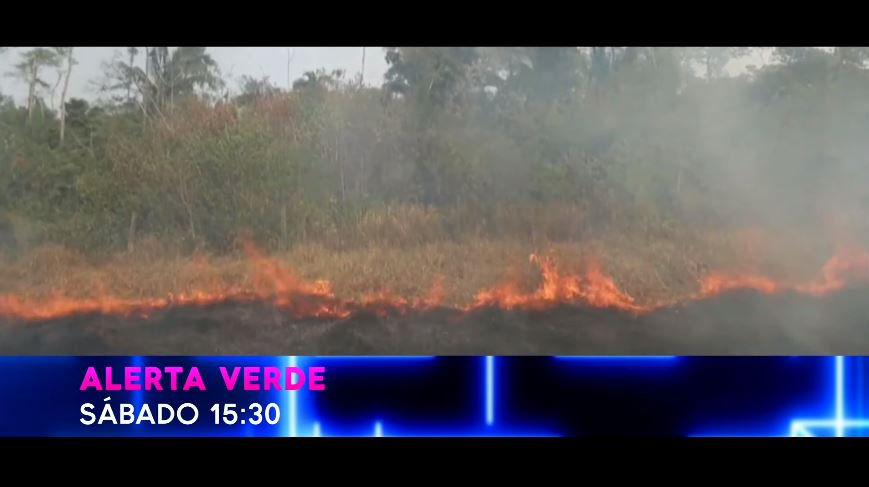 🌳🔥 ESTA TARDE | Incendios en la Amazonía: emergencia ambiental con repercusión internacional . 

A las 15:30 en <a href="/ALERTA_VERDE/">ALERTA VERDE</a> con <a href="/pavesioluis/">Luis Pavesio</a>.

Mirá este adelanto → youtu.be/iSiAc7Sf20E