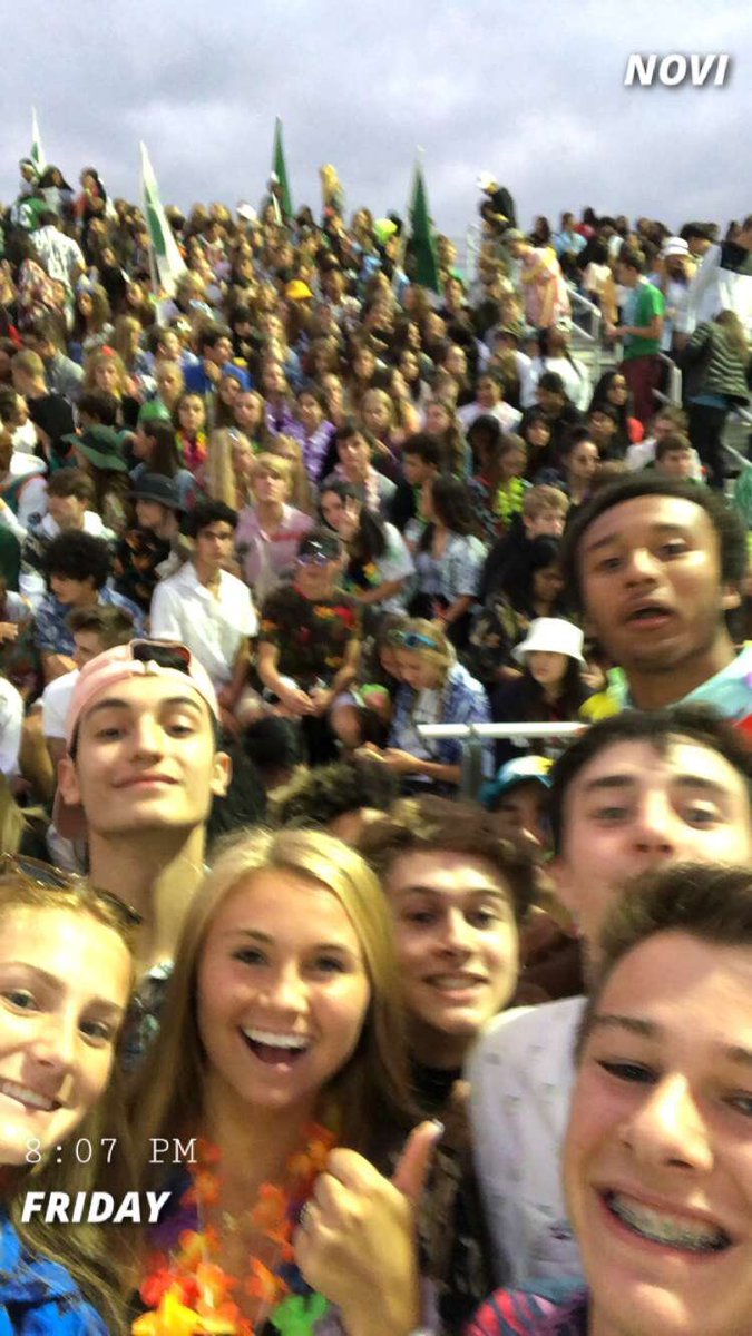 The Official Novi Cat Pack tweet media