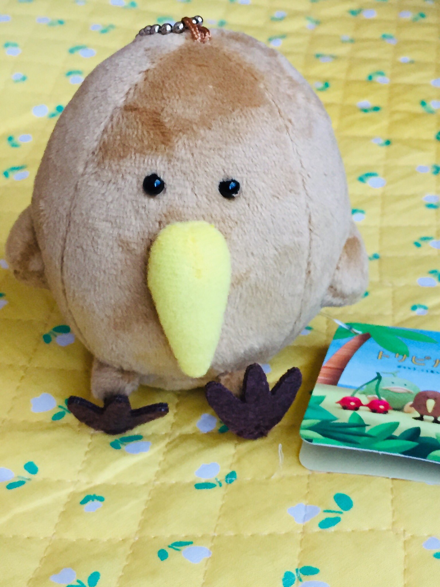 しらこ トリピカルズのキウイ かわいい 後ろにシールが付いてます かわいいぃぃぃ T Co Am2goadj4b Twitter しらこ トリピカルズのキウイ かわいい 後ろにシールが付いてます かわいいぃぃぃ T Co Am2goadj4b Twitter