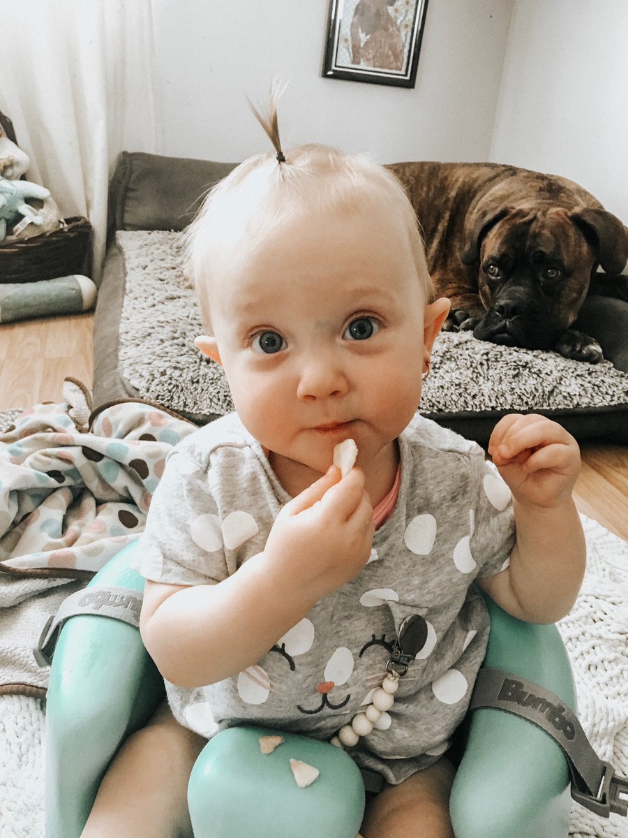 K_Thornton_'s tweet photo. I cannot believe my baby girl Eira  (pronounced Eye-Rah) is already almost 9 months old!  #timeisflying #eiramadiganmay #thoserollsthough #smallestponytailever https://t.co/y0l9lHna2U