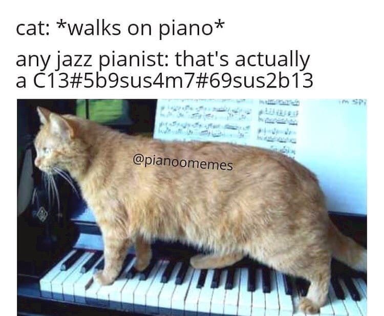 Your daily dose of #MusicianHumor courtesy of @pianoomemes on IG! 😆